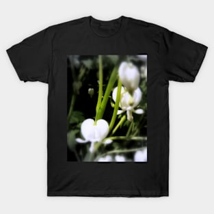 white bleeding heart macro, focal black and white T-Shirt